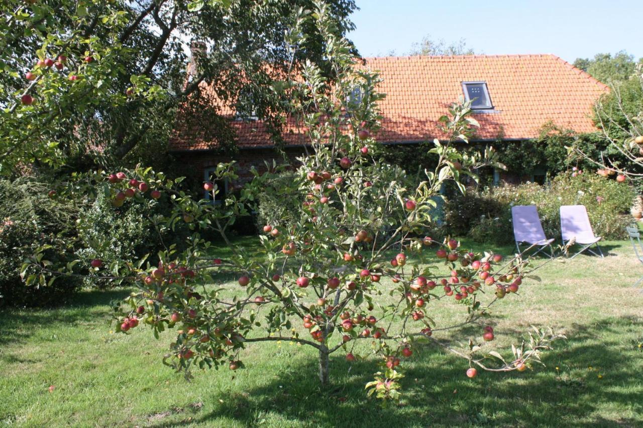 Petite Maison Варонжвил-сюр-Мер Екстериор снимка